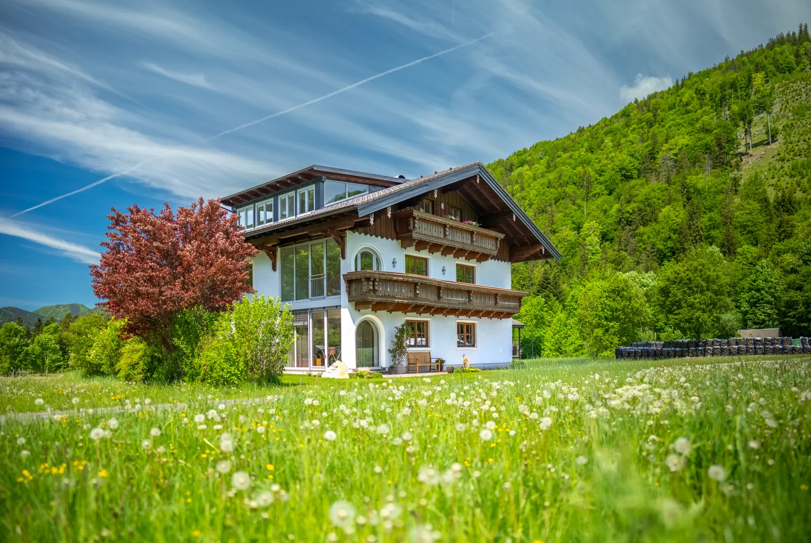 NEUER PREIS - Das Sonnenhaus mit großem Grundstück und Waldblick in Hof bei Salzburg